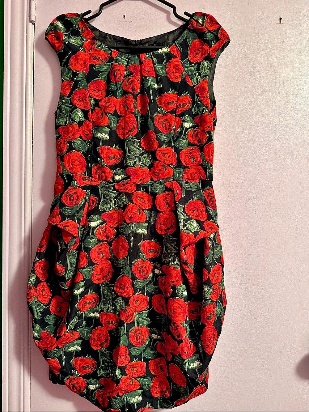 Angeleye London Floral Mini Dress in Black & Red Size Large